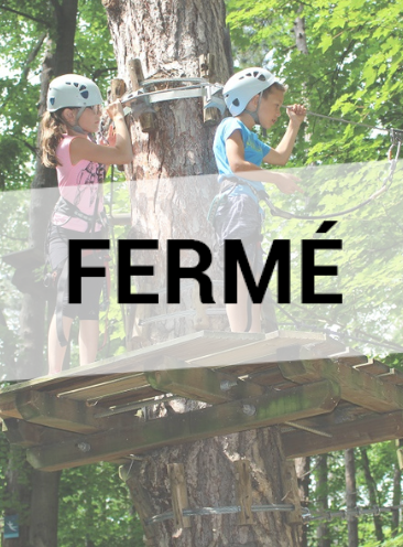 Parc City Aventure Lyon : Enfants dans les arbres