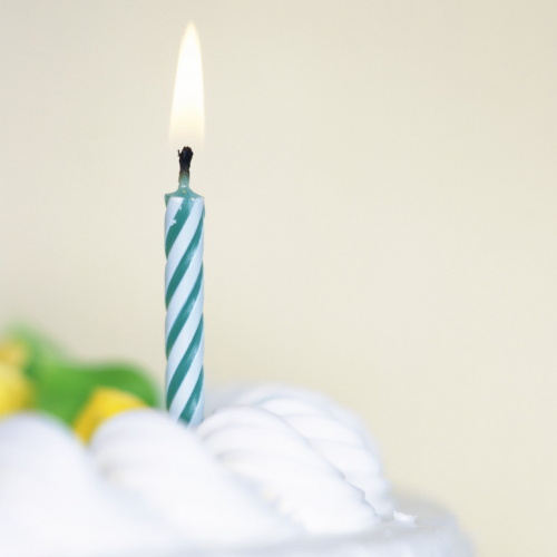 Anniversaire au Musée Ziem