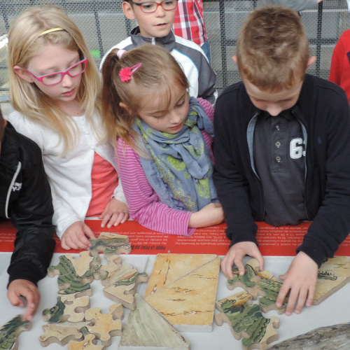 Sortie scolaire à la Cité Nature, 2014