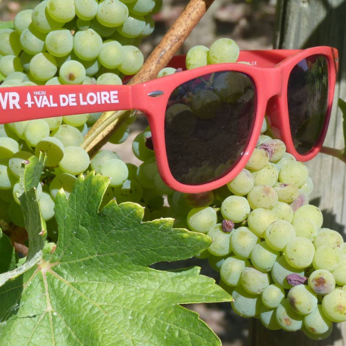 Vignes Vins Randos - En famille