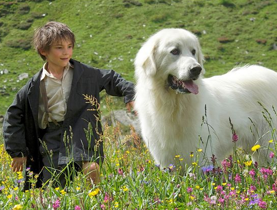 Belle et Sébastien - dans la montagne