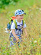 Festival Nature : L’Happy Grièche