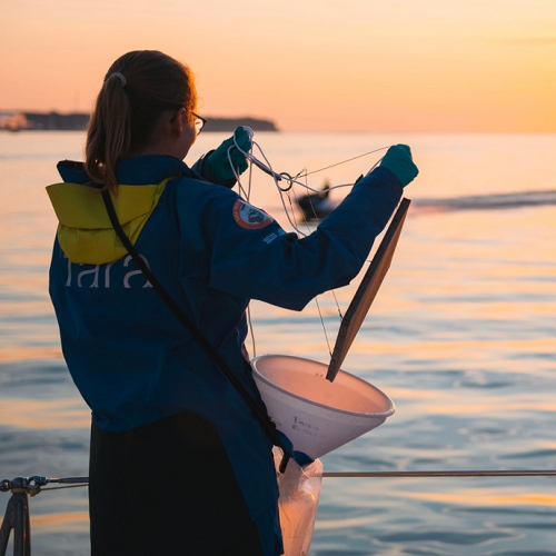 Le bateau Tara à Lyon