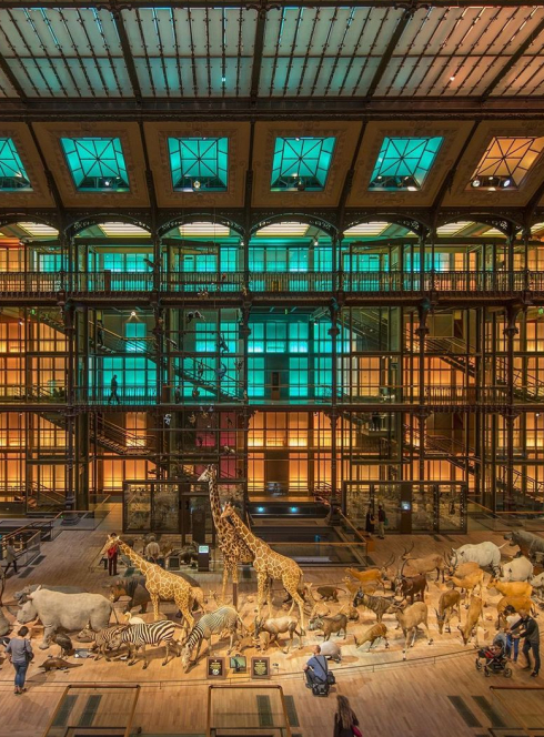 La Grande Galerie de l'Évolution du Muséum national d'histoire naturelle, poussette