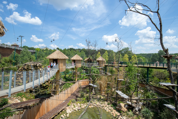 Nouveauté 2023, la Grande Volière Sud-Américaine à Beauval