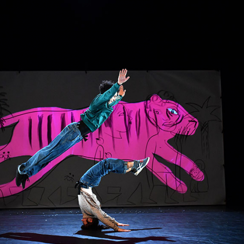 Quelle nuit mes amis - Je suis trigre