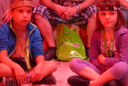 Atelier indien Loup gris