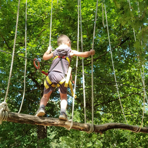 Lac aux Branches - 2019