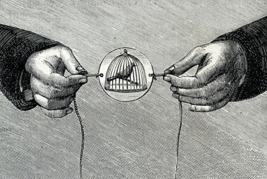 Expériences scientifiques illusions d'optique : thaumatrope