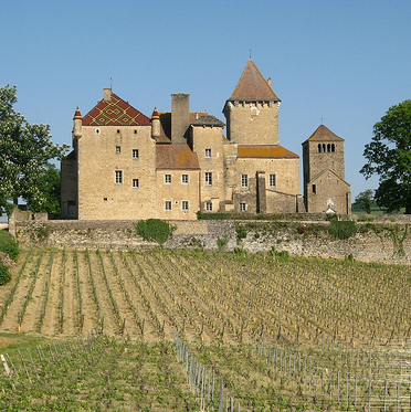 Château de Pierreclos