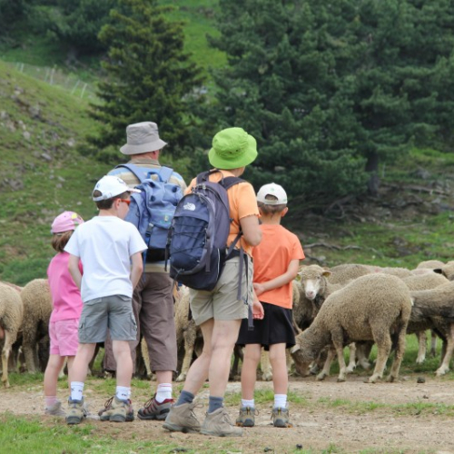 Fête de la Transhumance 2019 à Chamrousse (Lyon)