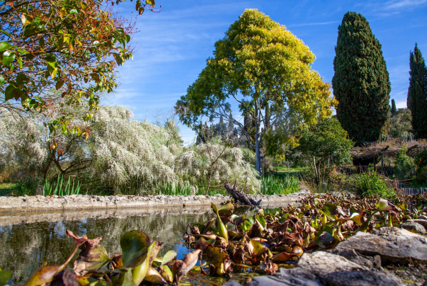 Les jardins du MIP : Paysage