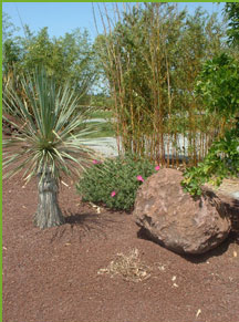 Jean Huchet arboretum
