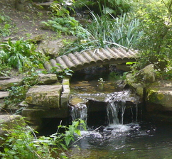 Jardin Botanique