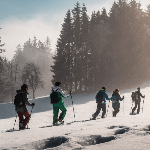 Raquettes avec vue panoramique dans les Monts de Genève
