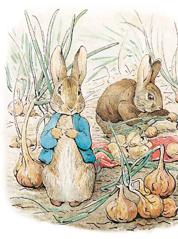 Pierre le Lapin - Beatrix Potter