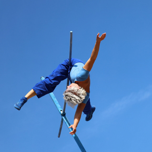 Biennale internationale des arts du cirque