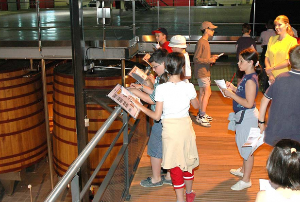 Visite du centre de vinification