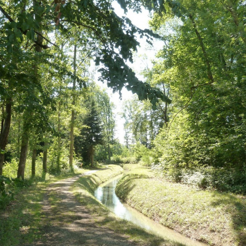 Forêt domaniale l’Arboretum @watain