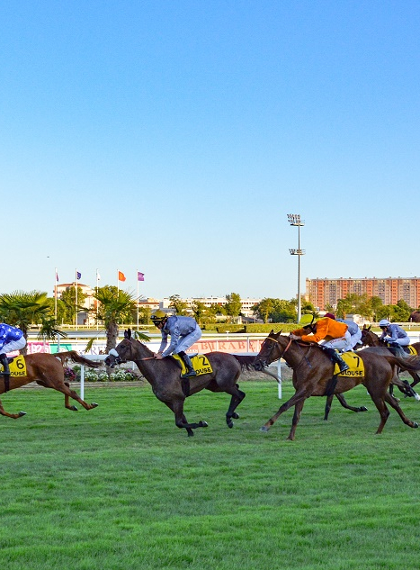 Hippodrome de Toulouse : course de galop