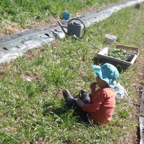 La Ferme de Cabrières