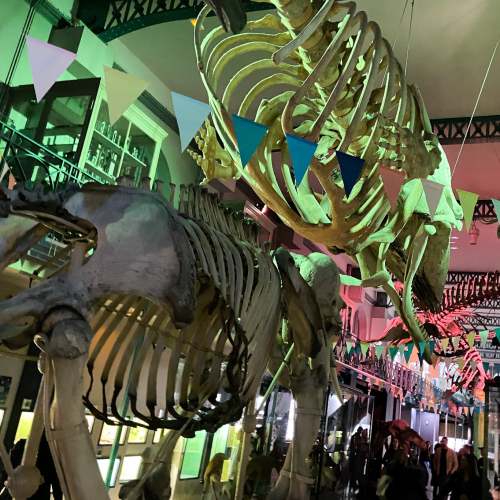 Expo "Bien conservés ! 200 ans de collections"