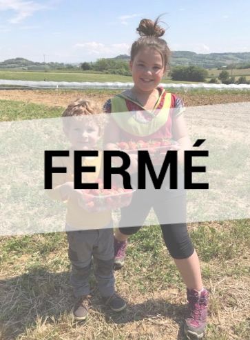 Les Jardins de Chaponnay : Cueillette de fraises par des enfants