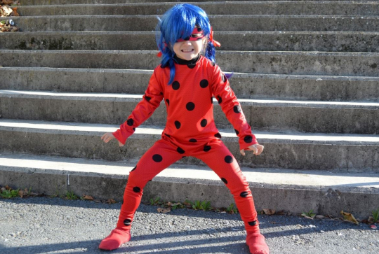 Ladybug