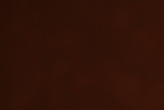 Ma Grand-Mère et moi 2014 11