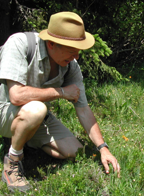 Ecole lyonnaise de plantes médicinales