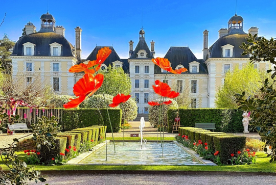 Château de Cheverny : fontaine et coquelicots