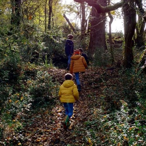Les Dimanches Découverte de la Maison du Créonais