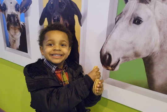 salon agriculture 2013