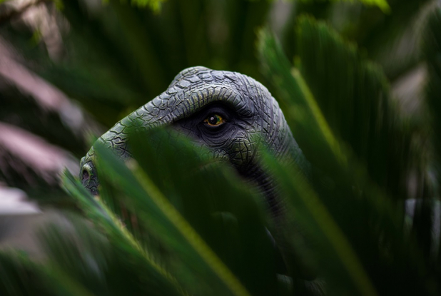 Escape Or Not : dinosaure caché dans les feuillages