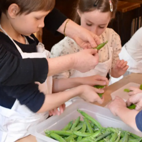 Food Temple Végétal : atelier L'école comestible