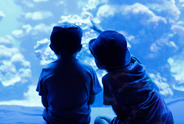Enfants à l'Aquarium de Lyon