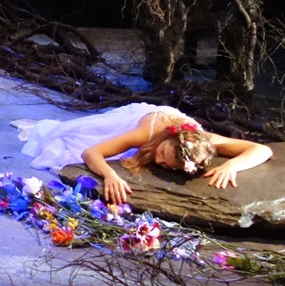 Quelque part au cœur de la forêt, la Belle et la Bête