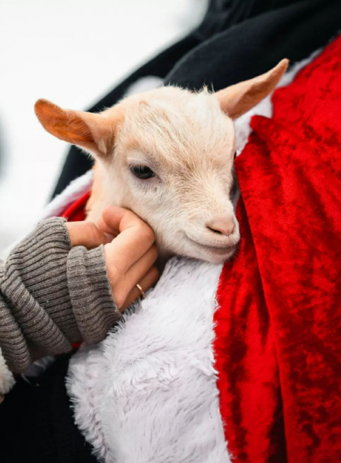 Hiver enchanteur dans les Monts de Genève