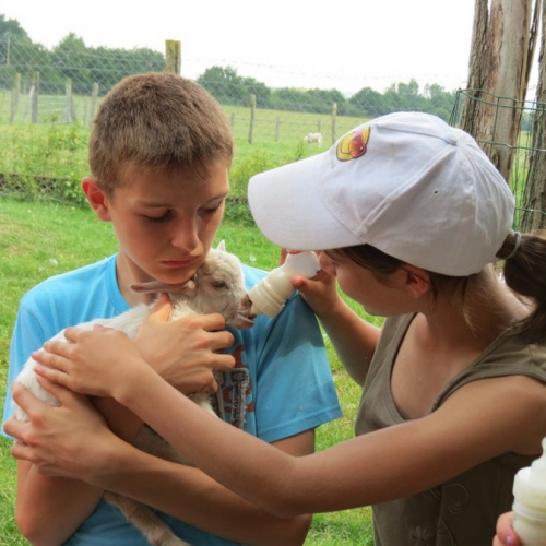 Ferme l'Arche de Noé
