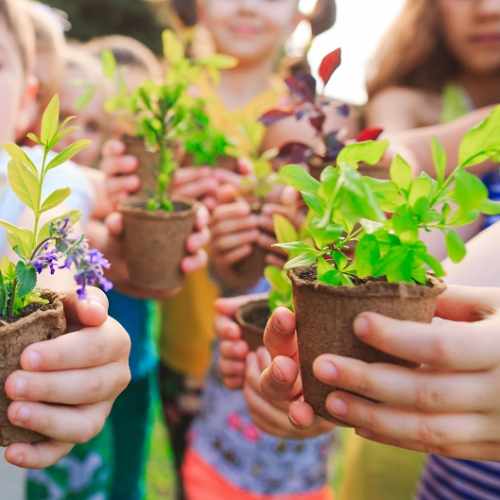 Adobe Stock - enfants et plantations