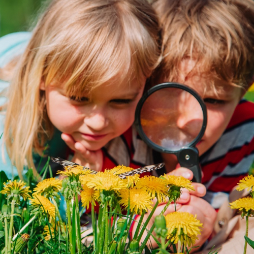 Animation au parc Vaugrenier, des enfants observent un papillon