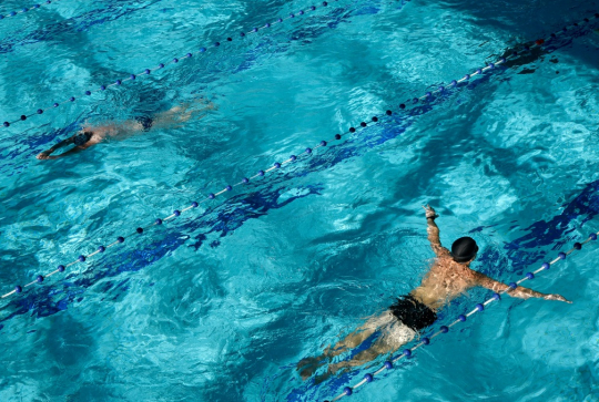 Piscine de croix : Des personnes nagent dans le bassin