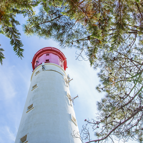 Le Phare du Cap Ferret