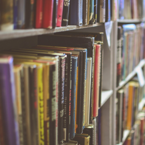 Bibliothèque des Pradettes