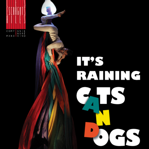 It's raining cats and dogs