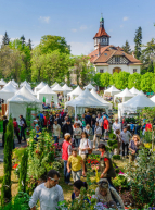 Marché aux Plantes de Mulhouse