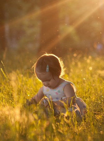 Le jardin des légendes