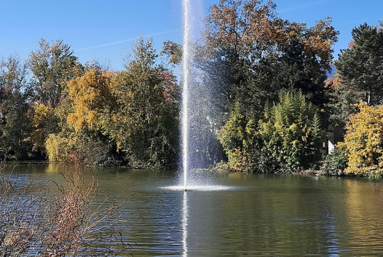 Jardin Compans-Caffarelli : jet d'eau
