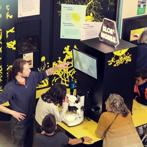 Expo Un Blob au Musée !