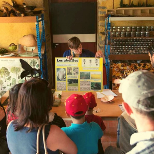 Ateliers d'été 2021 de l'Écomusée du Pays de Rennes